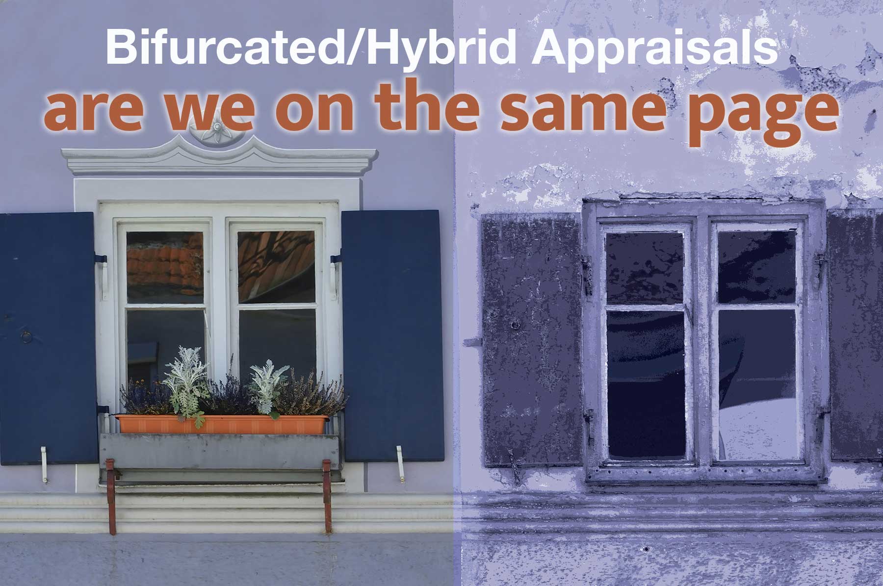 bifurcated appraisal image