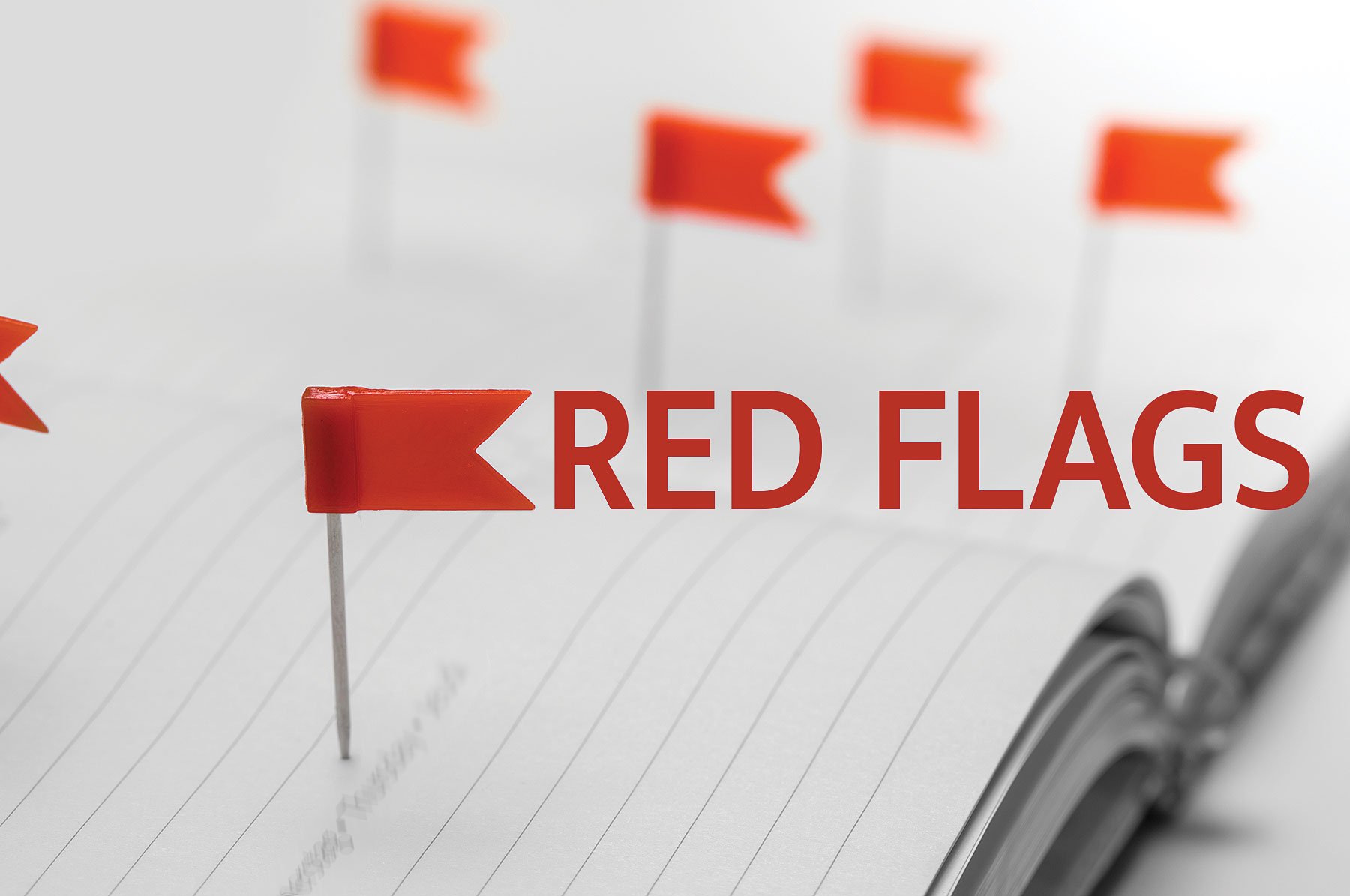 internal controls and red flags