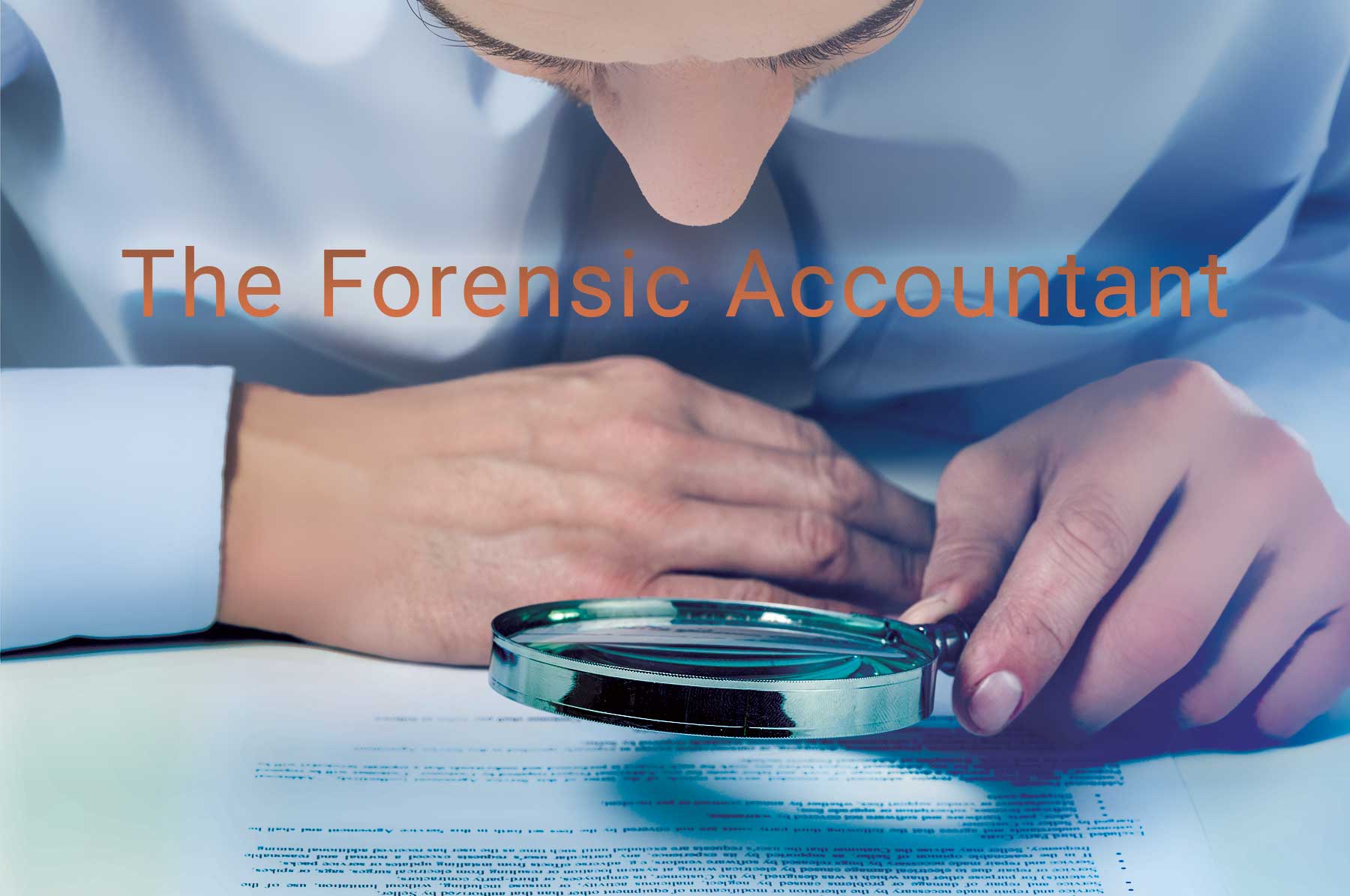 the forensic accountant